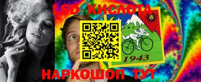 бошки Кимры