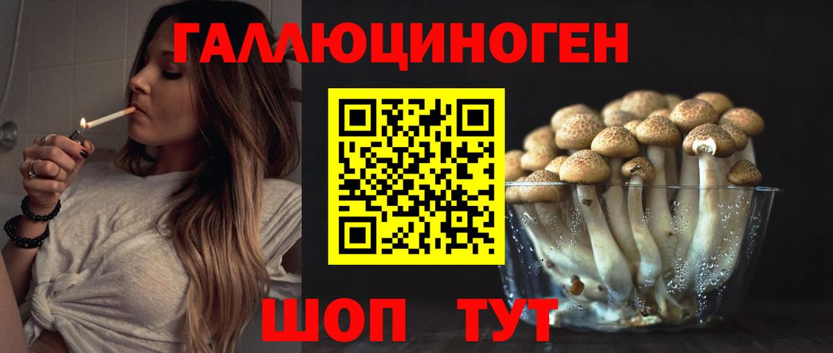 Псилоцибиновые грибы MAGIC MUSHROOMS Коркино